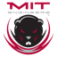 MIT Engineers