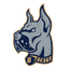 Bluefield State Big Blue