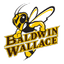 Baldwin Wallace Yellow Jackets