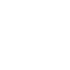 Allegheny Gators