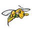 Black Hills State Yellow Jackets
