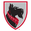 Carnegie Mellon Tartans