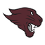 Concordia Chicago Cougars