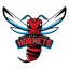 Delaware State Hornets