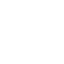 Temple Owls