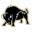 Harding Bisons