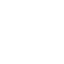Rice Owls
