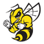 Randolph Macon Yellow Jackets
