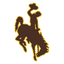 Wyoming Cowboys