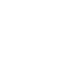 West Virginia Mountaineers