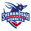 Shenandoah Hornets