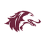 Southern Illinois Salukis