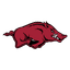 Arkansas Razorbacks